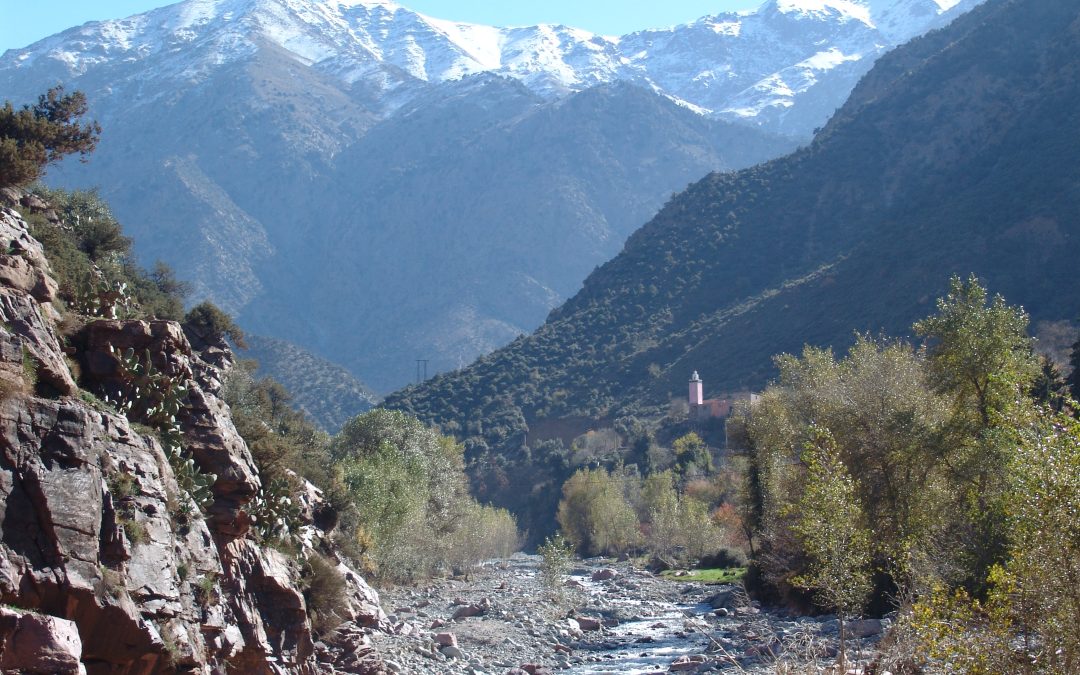 EXCURSIÓN DE 1 DÍA A VALLE DE OURIKA DESDE MARRAKECH